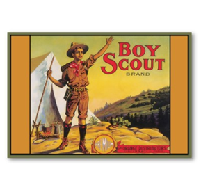 The Old Scout